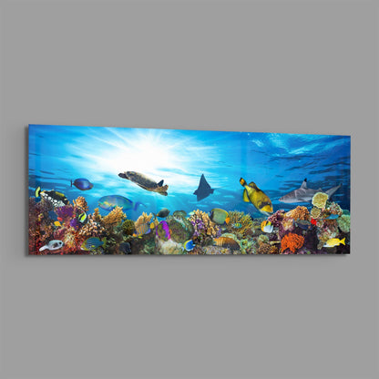 Coral reef sea turtle panoramic glass print angled on a gray background
