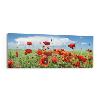 Red poppy field panoramic glass wall art shown on a white background with a soft shadow