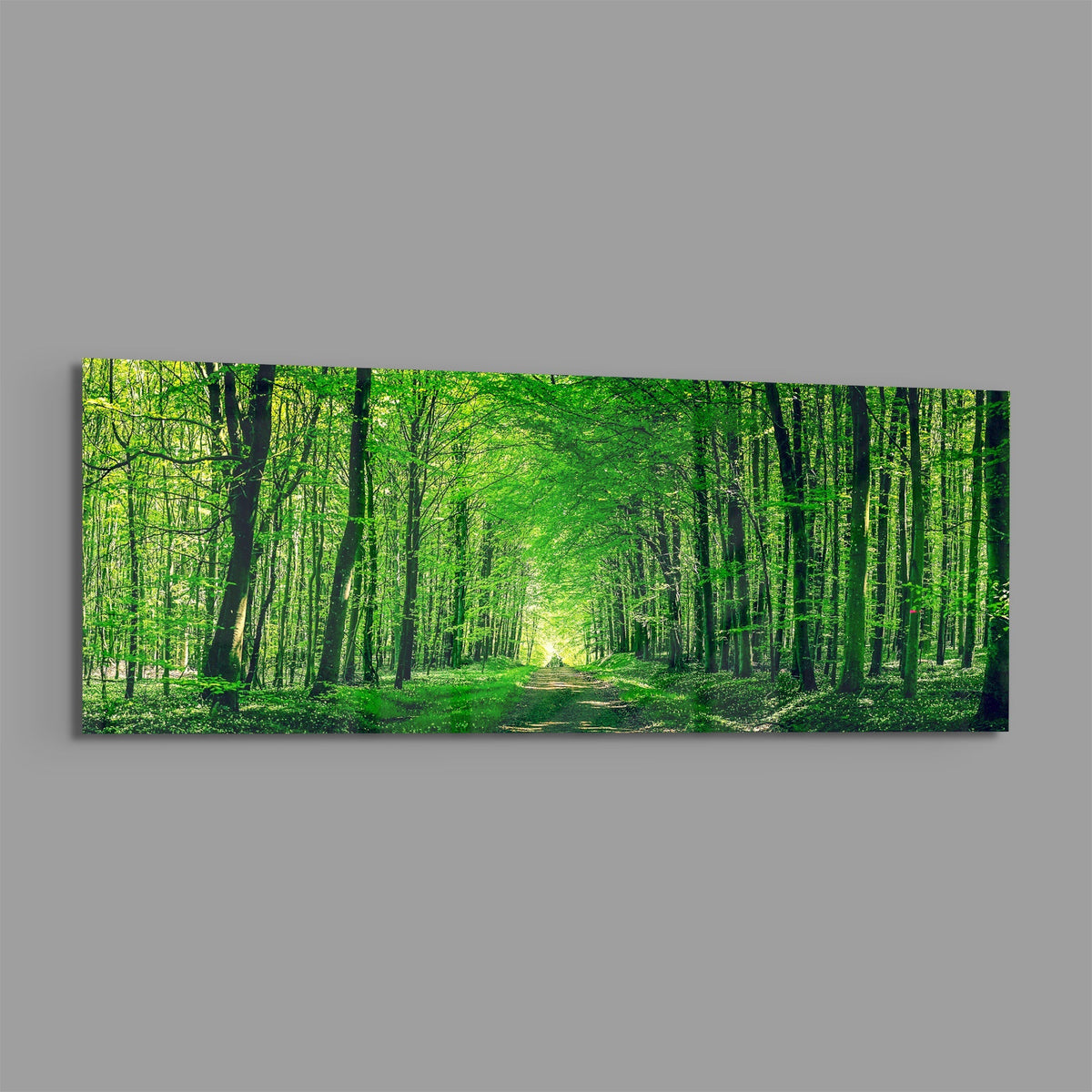 Green forest path panoramic glass wall art shown on a plain gray background