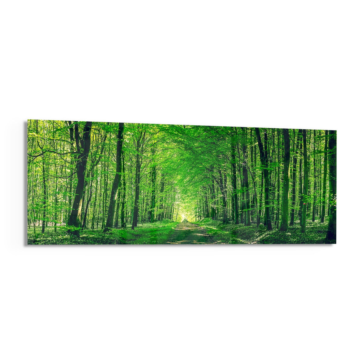 Green forest path panoramic glass wall art shown on a white background with a soft shadow