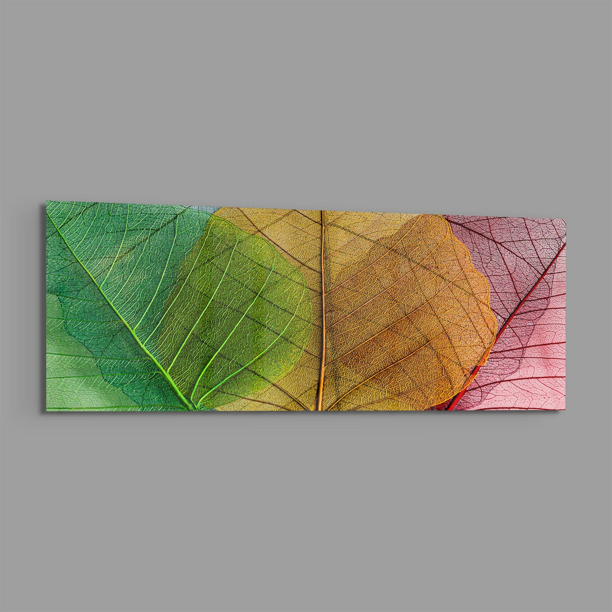 Green to pink veined leaves panoramic glass wall art shown on a plain gray background
