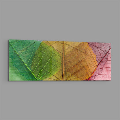 Green to pink veined leaves panoramic glass wall art shown on a plain gray background