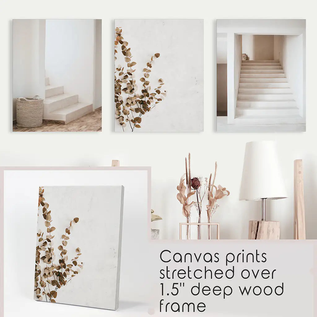 Boho Architectural Wall Art Set of 3 Eucalyptus Prints