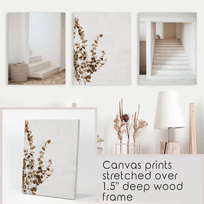 Boho Architectural Wall Art Set of 3 Eucalyptus Prints