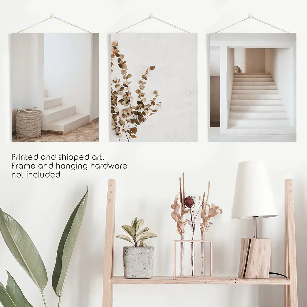 Boho Architectural Wall Art Set of 3 Eucalyptus Prints