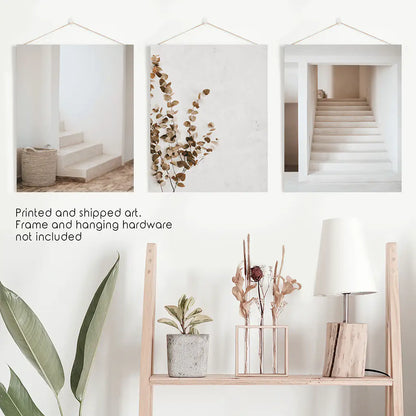 Boho Architectural Wall Art Set of 3 Eucalyptus Prints