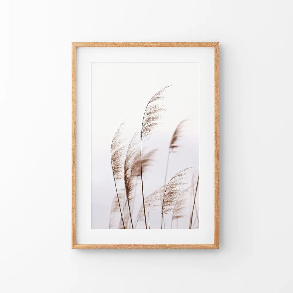 Beige dried grass summer field boho wall art print