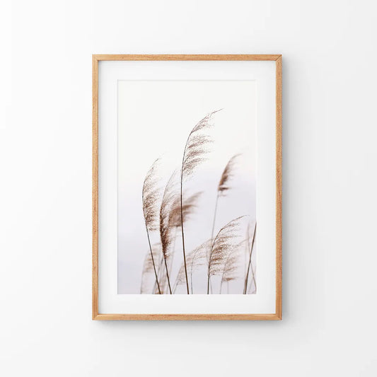Beige dried grass summer field boho wall art print