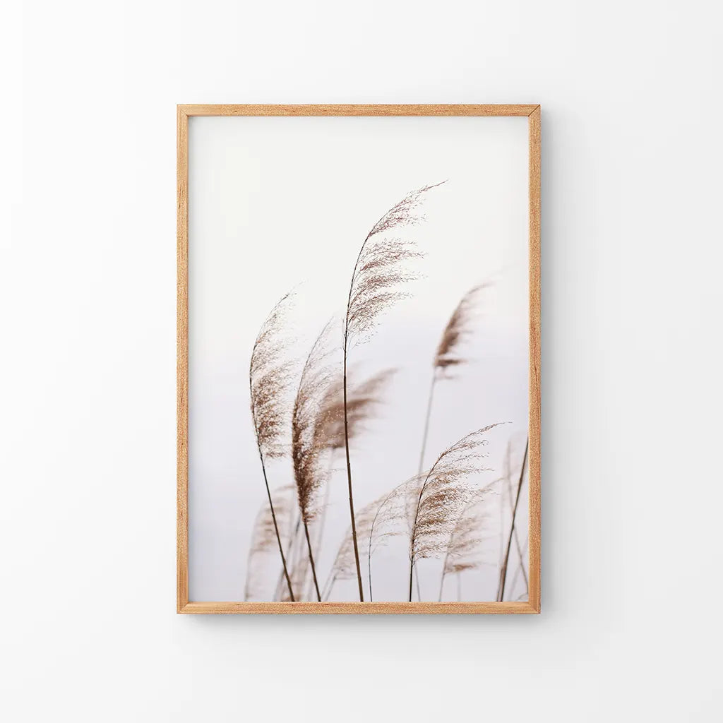 Beige Dried Grass Print - Summer Field Wall Art