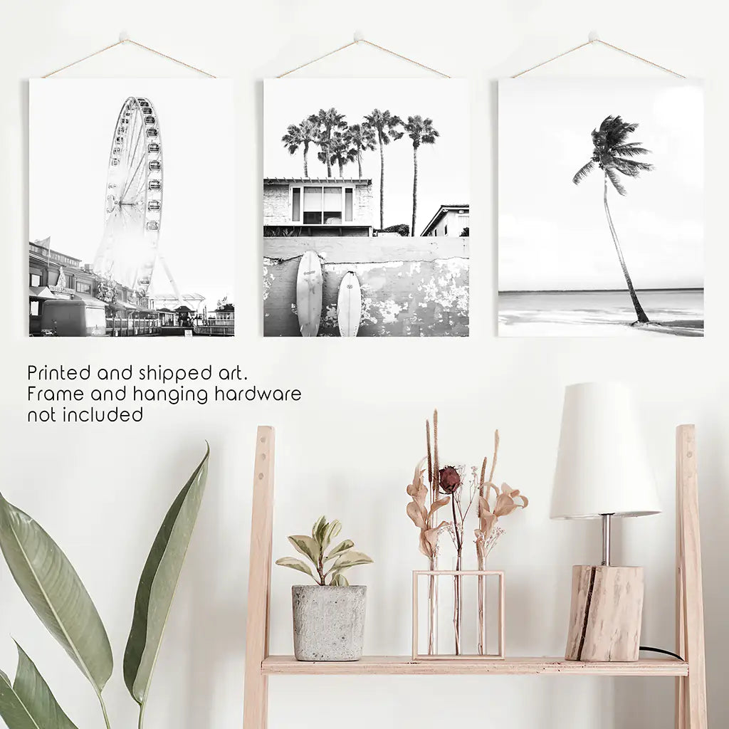 Black White Coastal Wall Art Set of 3. Ferris Wheel, Palm