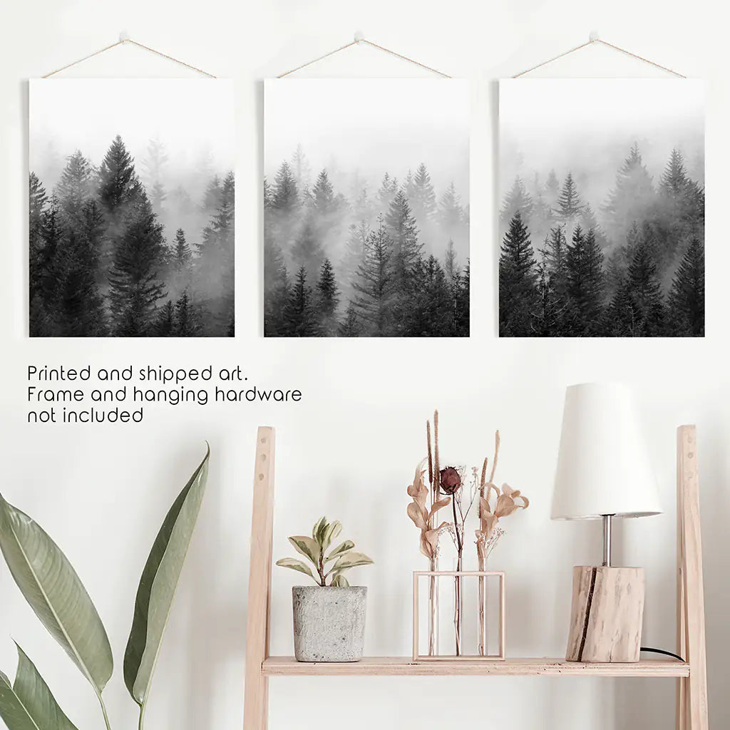 Misty Pine Forest Wall Art Set of 3. Black White Trees