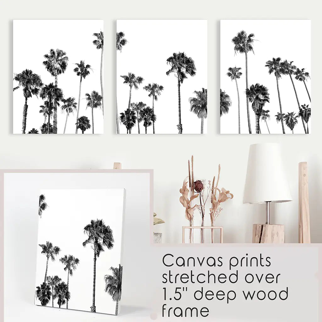 Black White Palm Trees Wall Art Triptych. Boho Beach