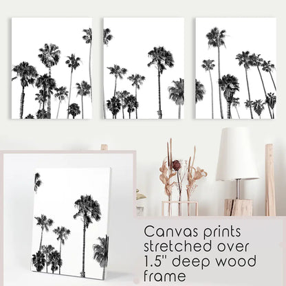 Black White Palm Trees Wall Art Triptych. Boho Beach