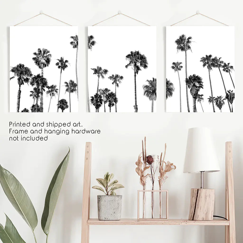 Black White Palm Trees Wall Art Triptych. Boho Beach