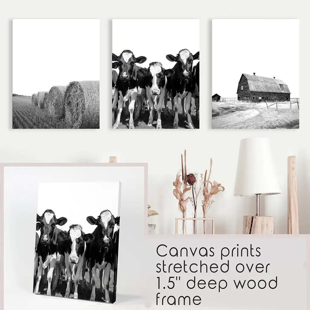 Black White Farm Wall Art Set of 3. Cow, Hay Bale, Barn