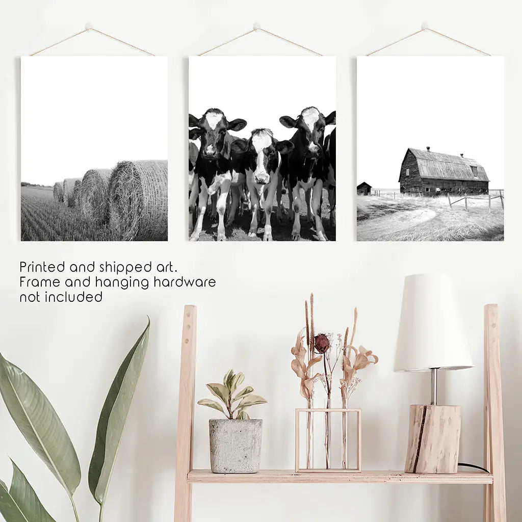 Black White Farm Wall Art Set of 3. Cow, Hay Bale, Barn