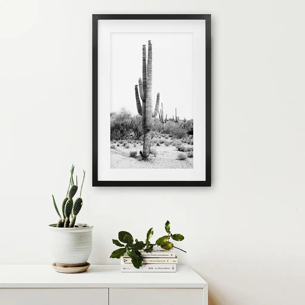 Black and White Saguaro Cactus Poster - Arizona Desert Art