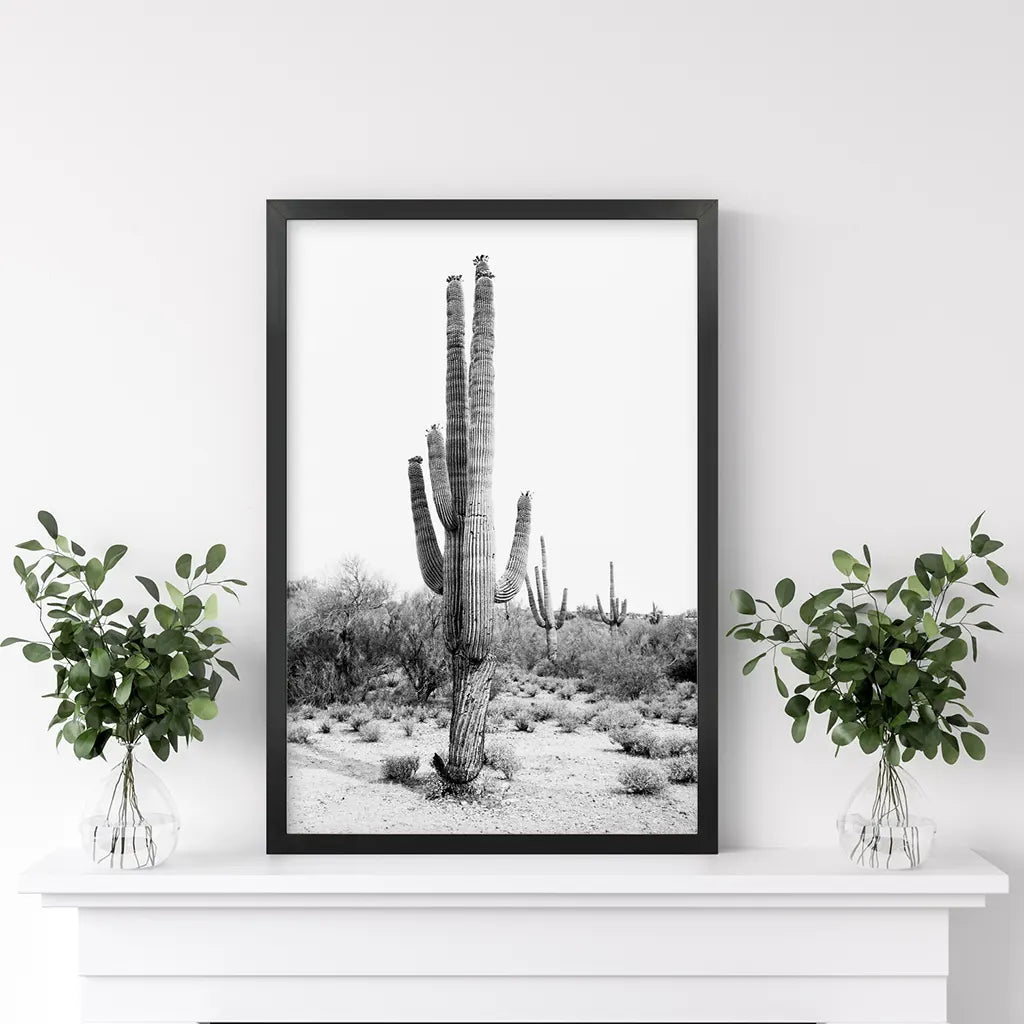 Black and White Saguaro Cactus Poster - Arizona Desert Art