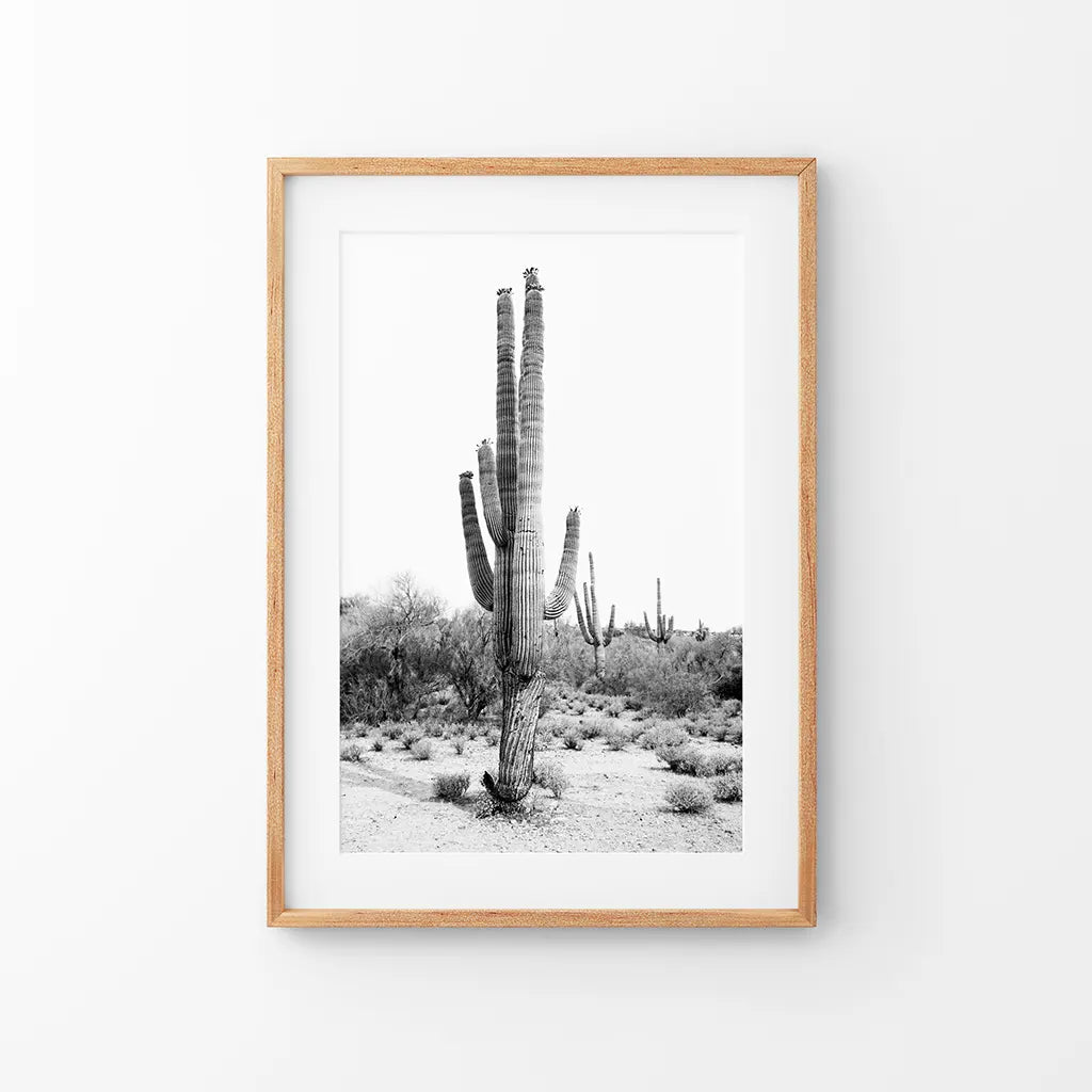 Black and White Saguaro Cactus Poster - Arizona Desert Art