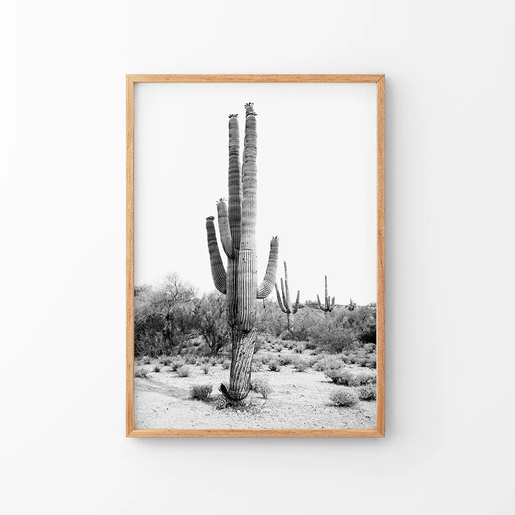 Black and white saguaro cactus Arizona desert wall art poster