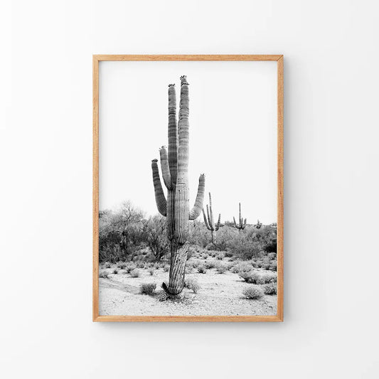 Black and white saguaro cactus Arizona desert wall art poster