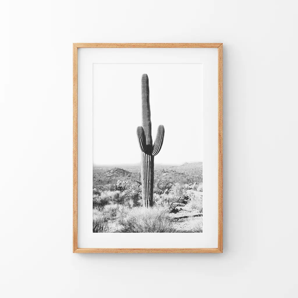 Black and white saguaro cactus in the Arizona desert, nature wall art print