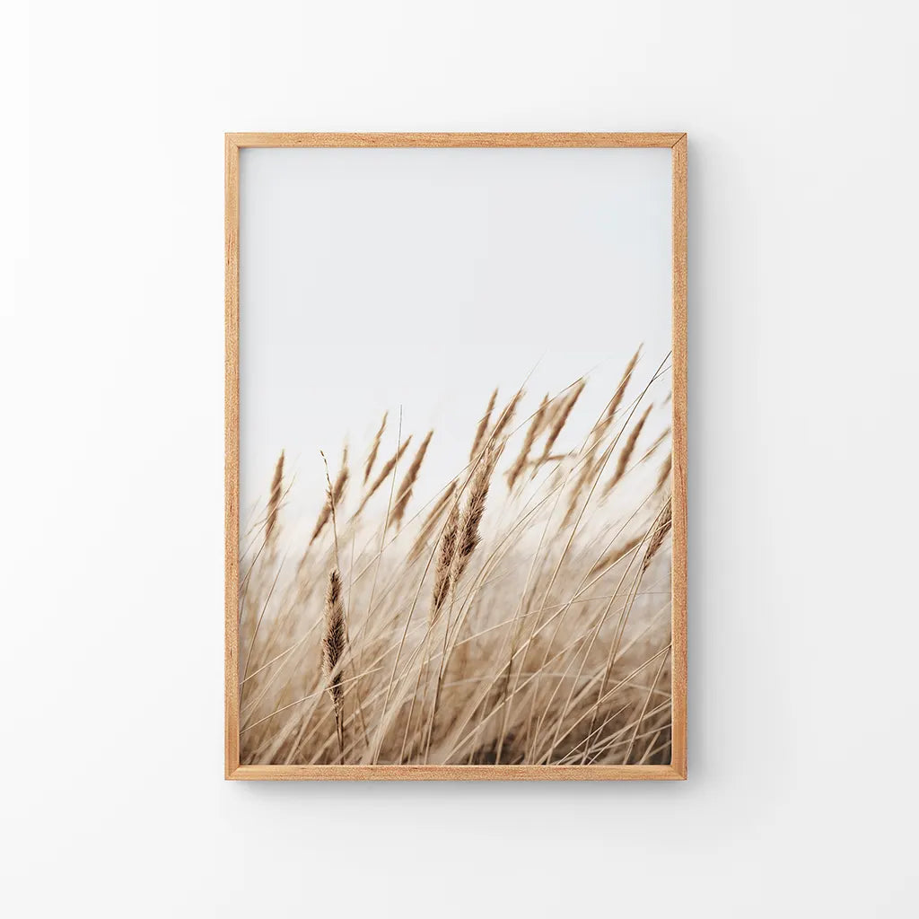 Bohemian Pampas Grass Print - Nature Wall Art