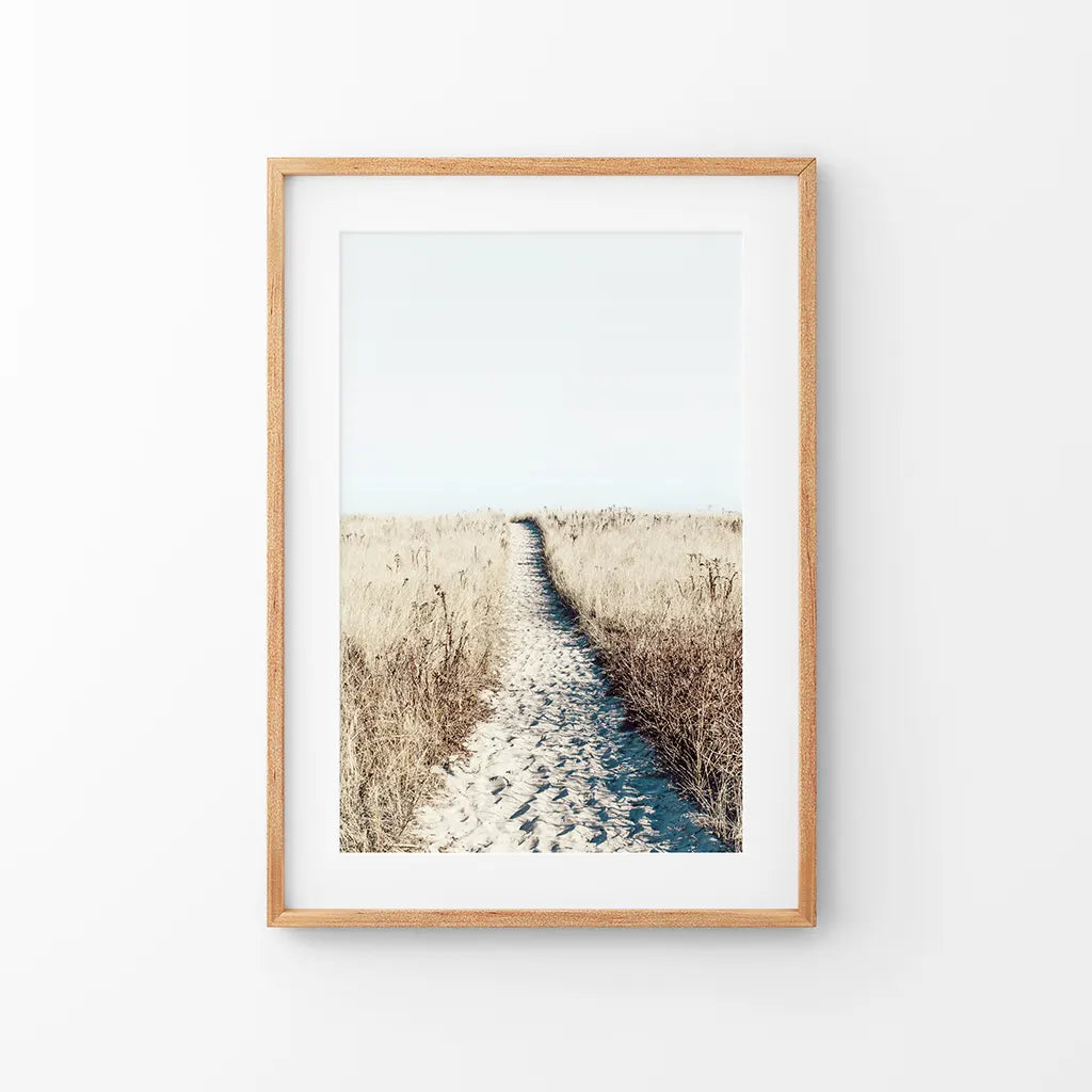 Calm beach sand dunes with dried grass, boho coastal wall art print