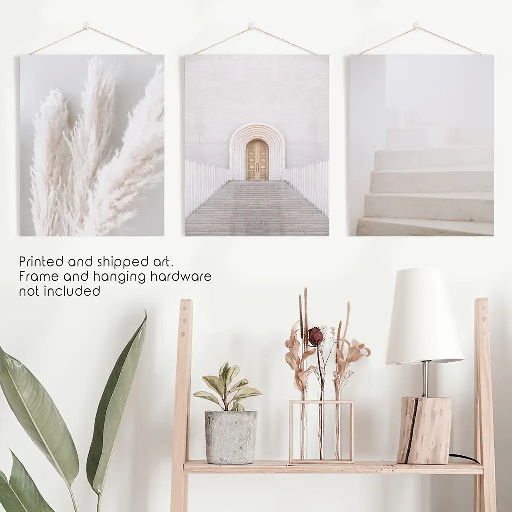 Contemporary Boho Wall Art Set of 3 Pampas Prints