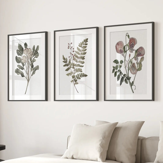 Vintage Botanical Wall Art Set of 3 Neutral Prints