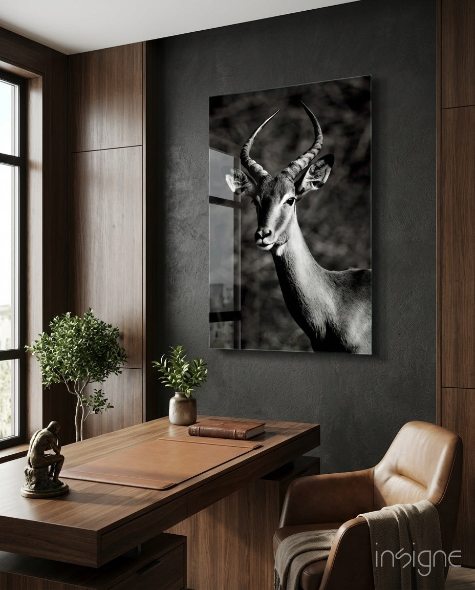 Impala wildlife portrait glass wall art, monochrome antelope with lyrate horns on tempered glass