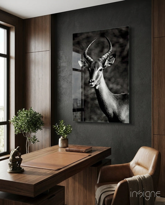 Impala wildlife portrait glass wall art, monochrome antelope with lyrate horns on tempered glass