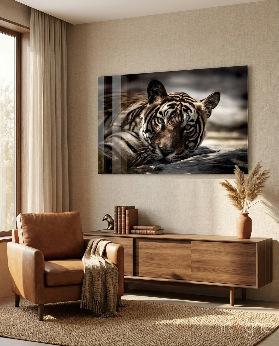 Resting tiger glass wall art with gold-amber eyes in sepia tones