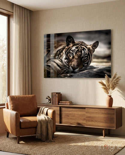 Resting tiger glass wall art with gold-amber eyes in sepia tones