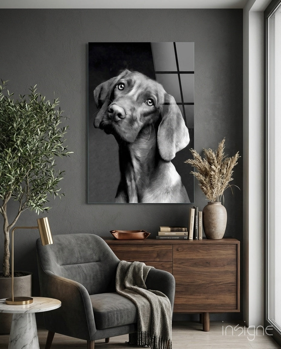 Innocent dog glass wall art, grey Weimaraner head-tilt portrait on tempered glass