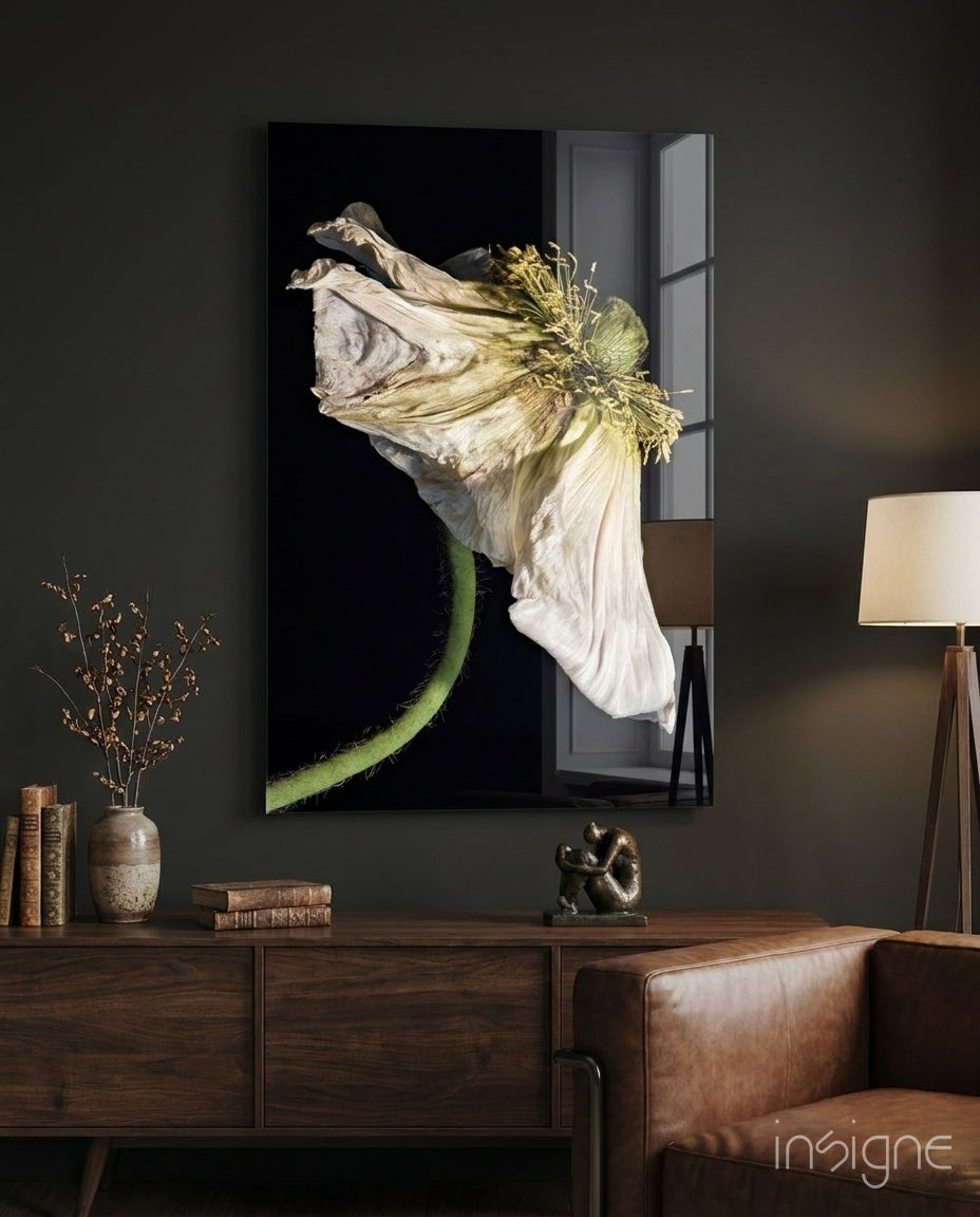 Dried white poppy stem glass wall art