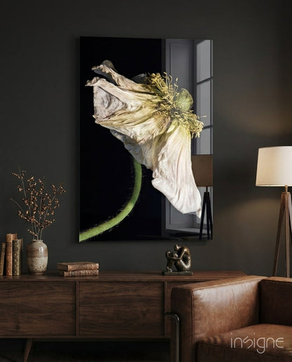 Dried white poppy stem glass wall art