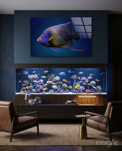 Queen Angelfish glass wall art with cobalt and amber scales