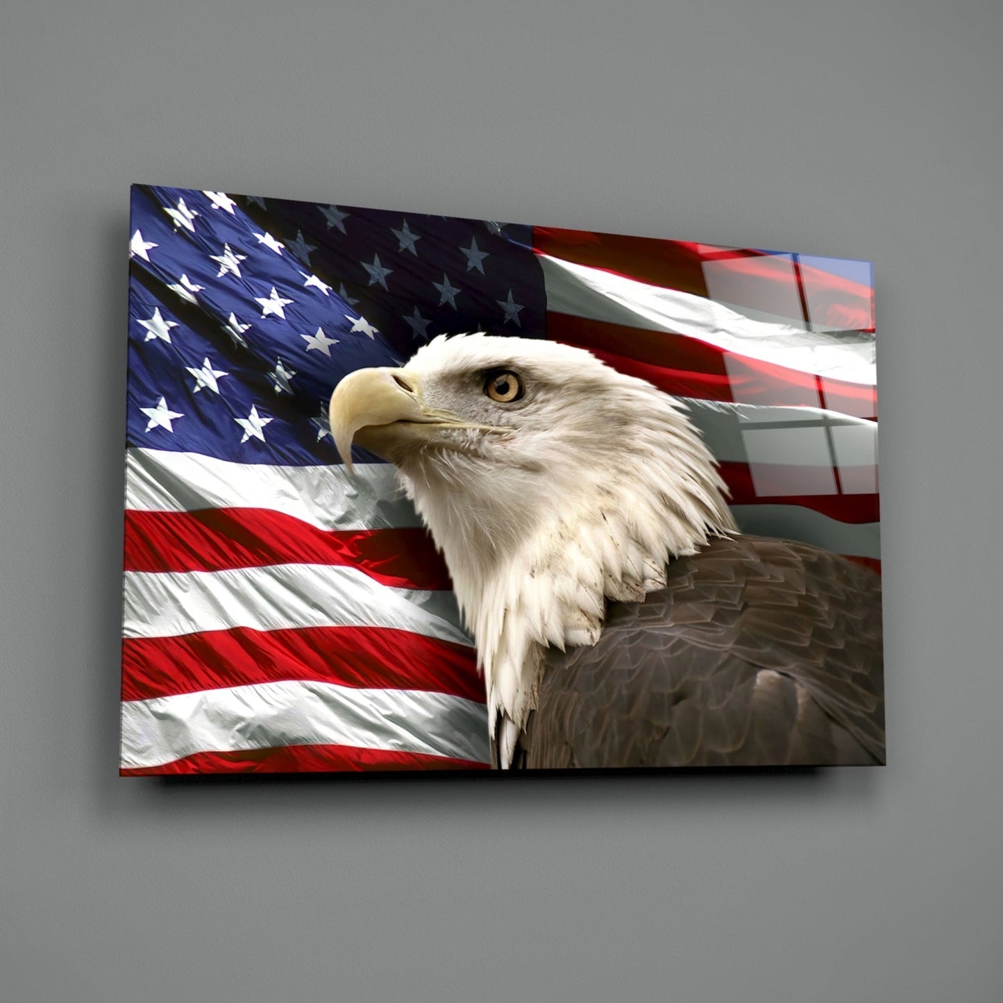 Bald Eagle Glass Wall Art