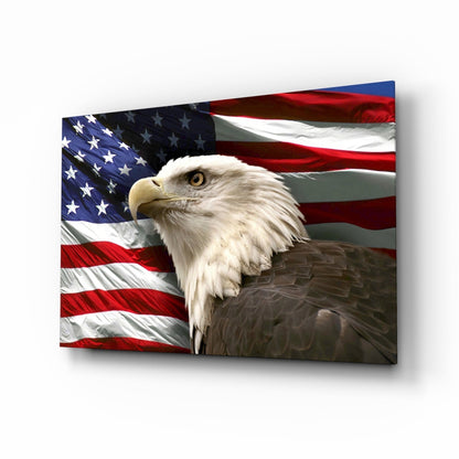 Bald Eagle Glass Wall Art