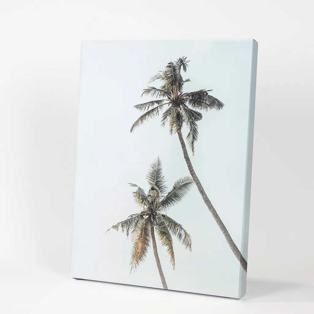 California Tropical Palm Trees Print - Coastal Wall Art