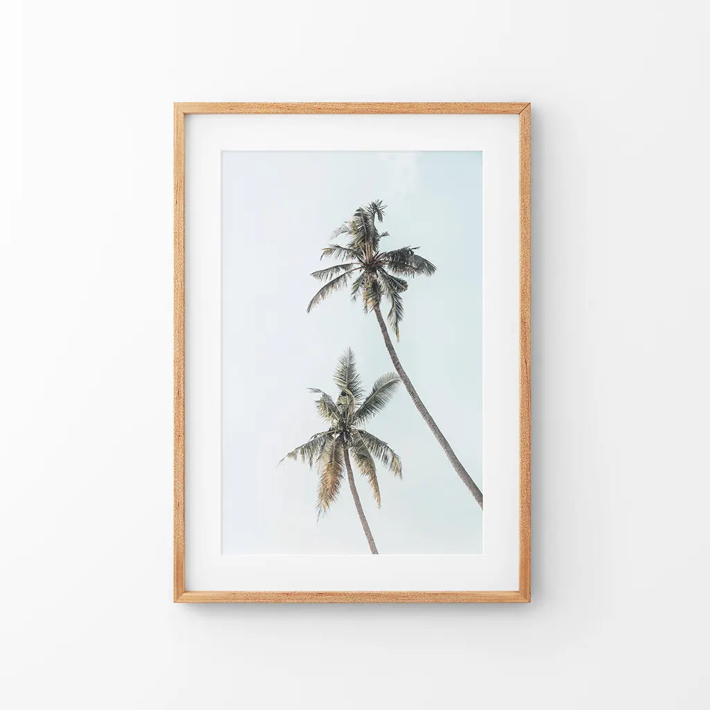 California tropical palm trees coastal wall art print