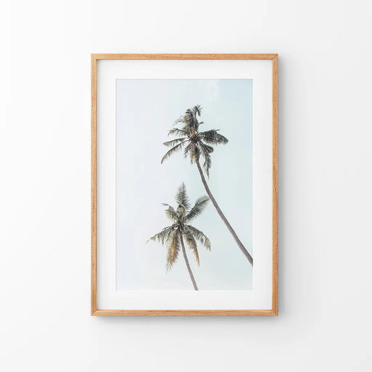 California tropical palm trees coastal wall art print