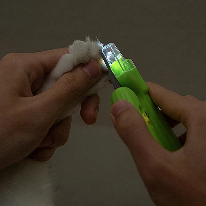 Close-up of LED pet nail clipper illuminating a cat’s claw during trimming.