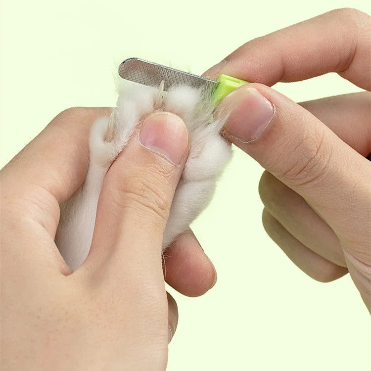 Close-up of filing a cat’s claw using the built-in nail file.
