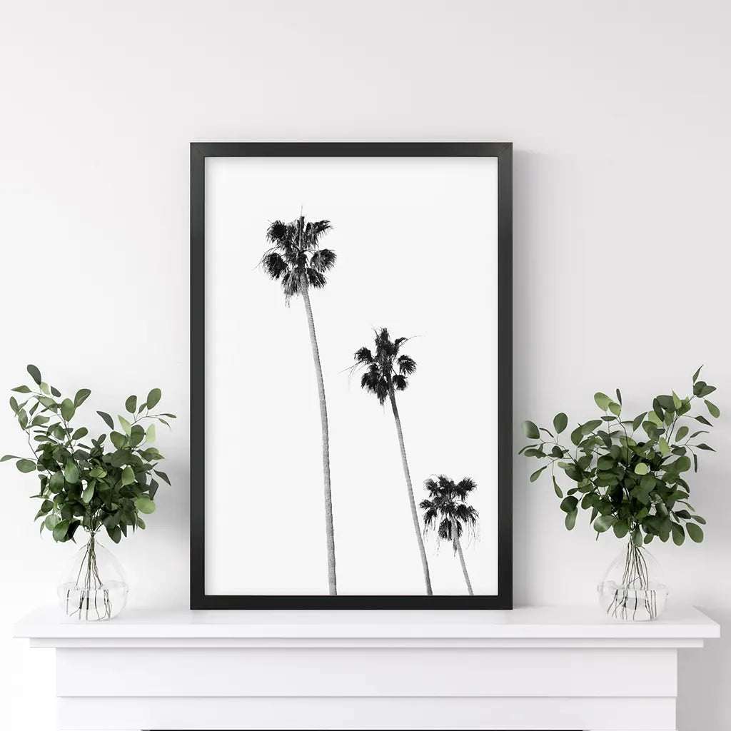 Tropical Palm Trees Print - Black and White Beach Wall Art