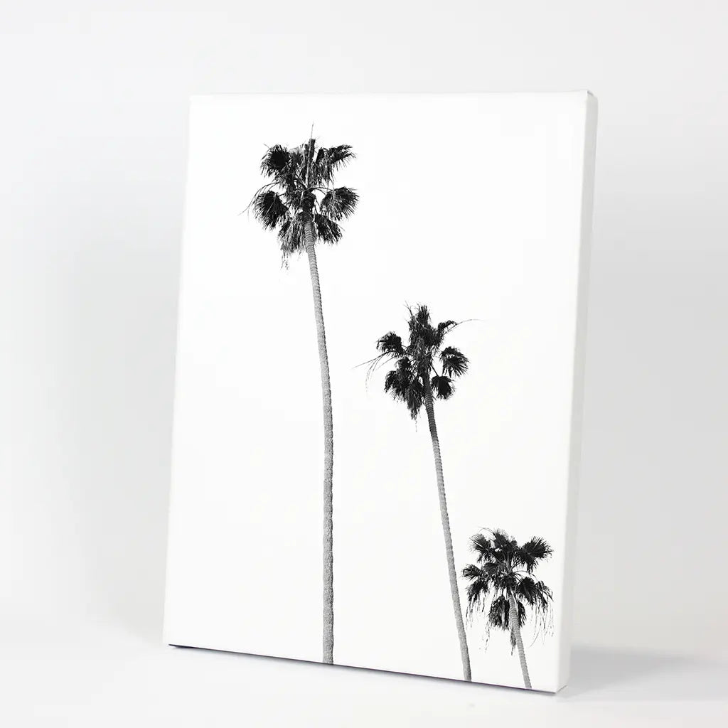 Tropical Palm Trees Print - Black and White Beach Wall Art