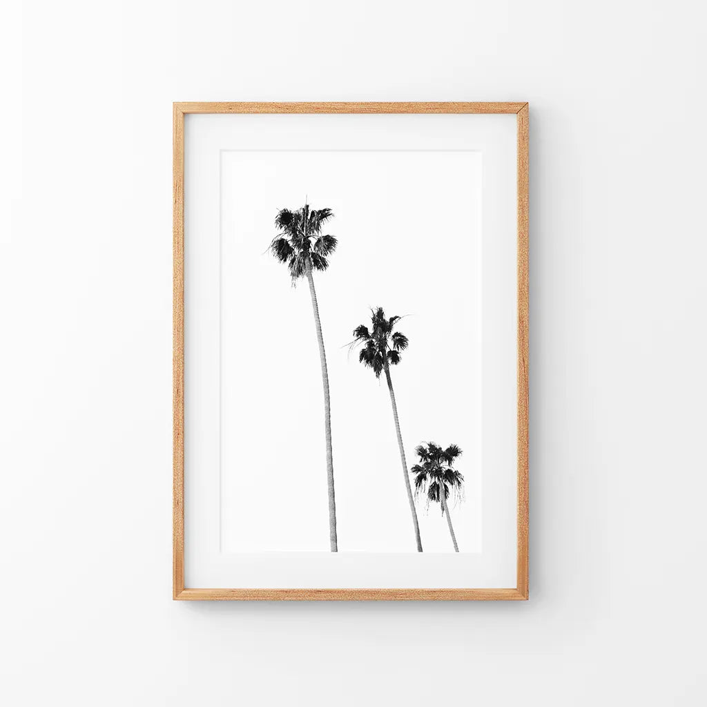 Tropical Palm Trees Print - Black and White Beach Wall Art