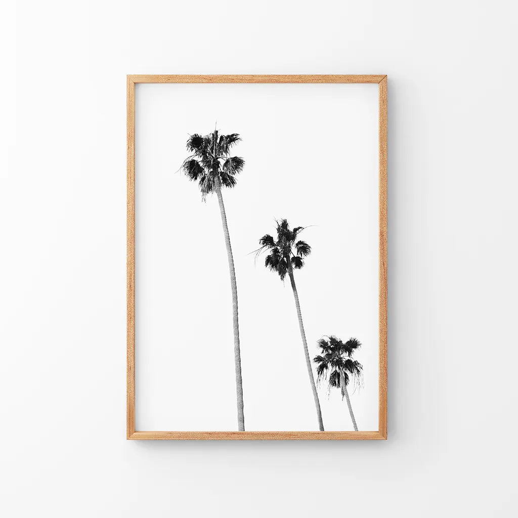 Tropical black and white palm trees beach wall art print