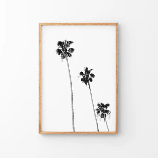 Tropical black and white palm trees beach wall art print
